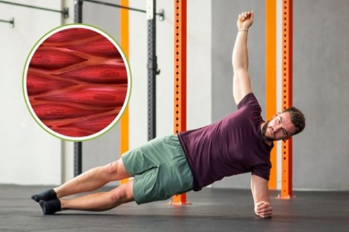 Plank – Tăng sức bền toàn thân