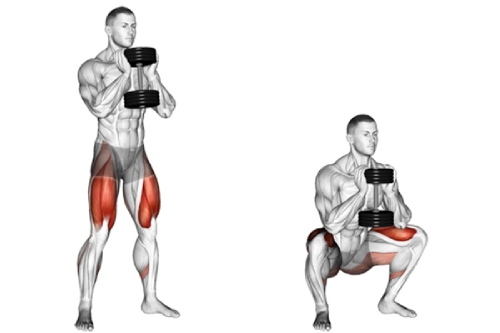 Squat (ngồi xổm)